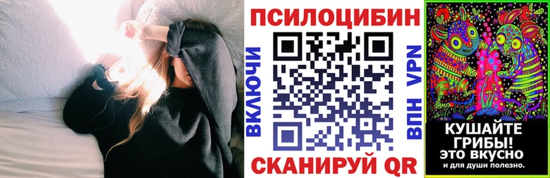 Купить где  Дудинка  Галлюциногенные грибы Magic Shrooms 